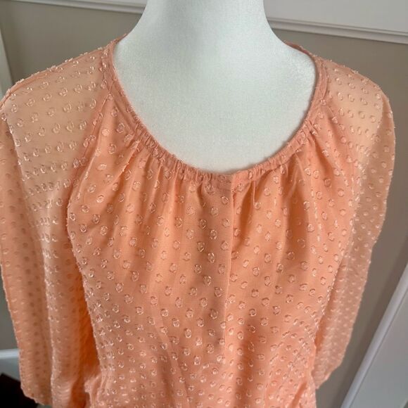 J. Crew peach colored, swiss dot dress with sheer sleeves. - Picture 5 of 6